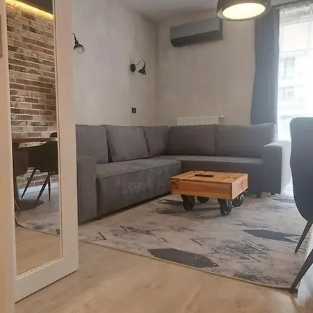 公寓 Nad Wisla, Bezplatny Parking, Awg 克拉科夫